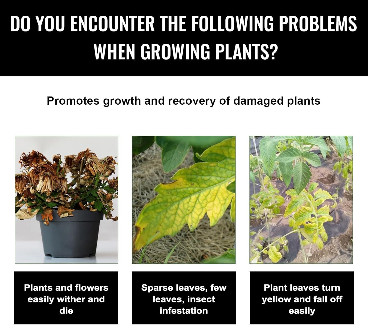 Liquid Plant Growth Enhancers  - Root Stimulator Liquid 评论和价格